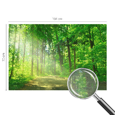 Vlies fotobehang op maat Bospad