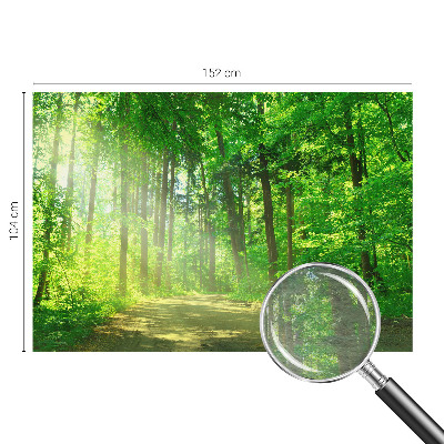 Vlies fotobehang op maat Bospad