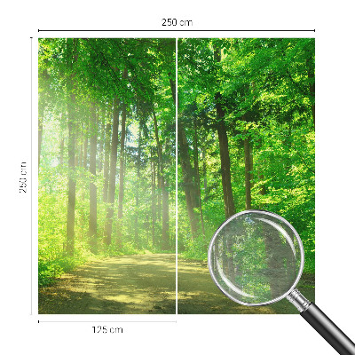 Vlies fotobehang op maat Bospad