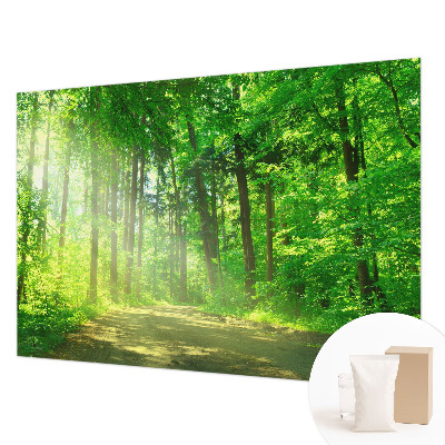 Vlies fotobehang op maat Bospad