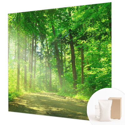 Vlies fotobehang op maat Bospad