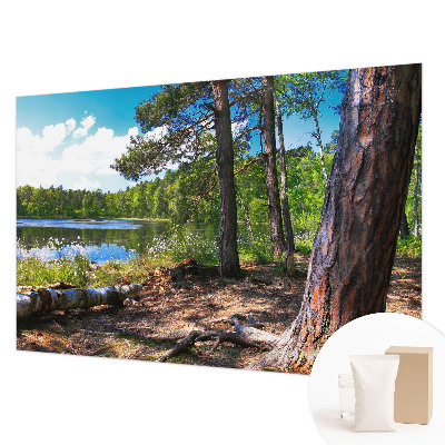 Fotobehang naadloos met een boslandschap als motief