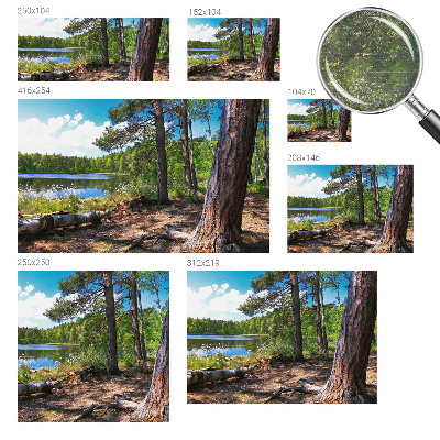 Fotobehang naadloos Boslandschap