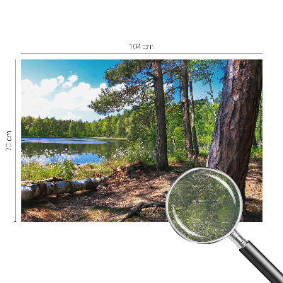 Fotobehang naadloos Boslandschap