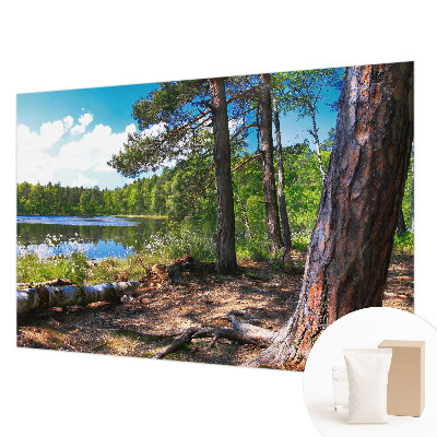 Fotobehang naadloos met een boslandschap als motief