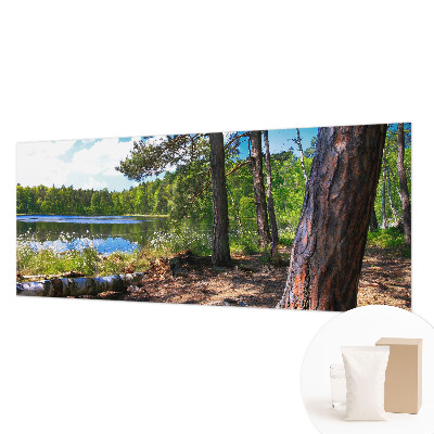 Fotobehang naadloos Boslandschap