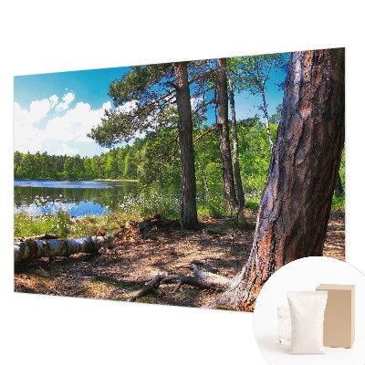 Fotobehang naadloos met een boslandschap als motief