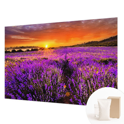 Fotobehang op maat Lavendelzonsondergang