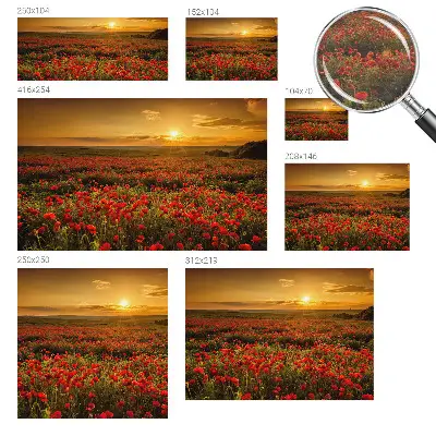 Fotobehang woonkamer met het Papaverveld-motief