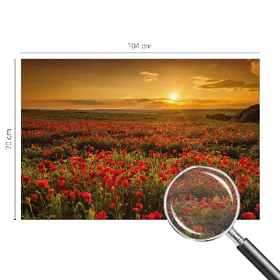 Fotobehang woonkamer met het Papaverveld-motief