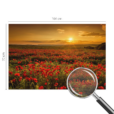 Fotobehang woonkamer Papaverveld