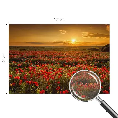 Fotobehang woonkamer met het Papaverveld-motief