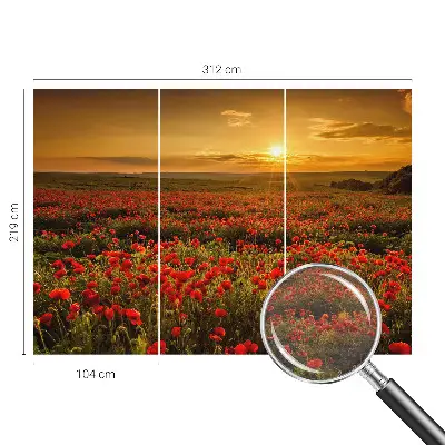 Fotobehang woonkamer met het Papaverveld-motief