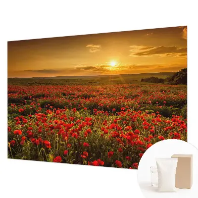 Fotobehang woonkamer met het Papaverveld-motief
