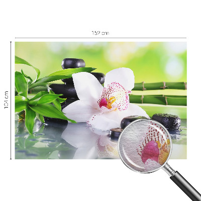 Modern fotobehang voor de woonkamer met een rustig natuureffect