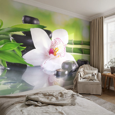 Modern fotobehang voor de woonkamer De rust van de natuur