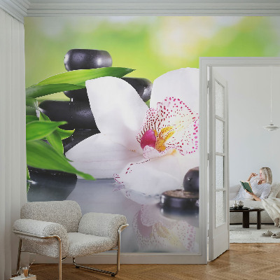 Modern fotobehang voor de woonkamer met een rustig natuureffect