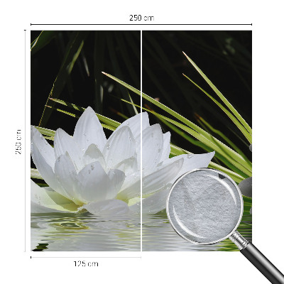 Kwalitatief fotobehang met een lelie en meditatieve print
