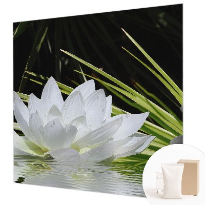 Kwalitatief fotobehang met een lelie en meditatieve print