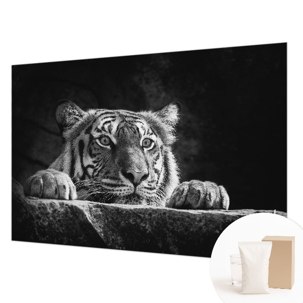 Vliesbehang fotobehang woonkamer roofzuchtige blik