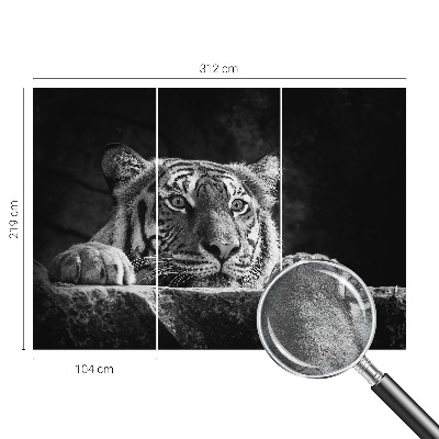 Vliesbehang fotobehang woonkamer met het motief 'roofzuchtige blik'