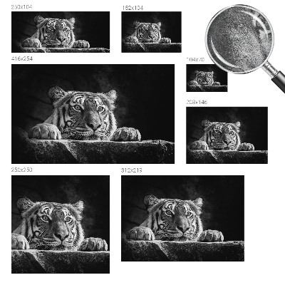 Vliesbehang fotobehang woonkamer roofzuchtige blik