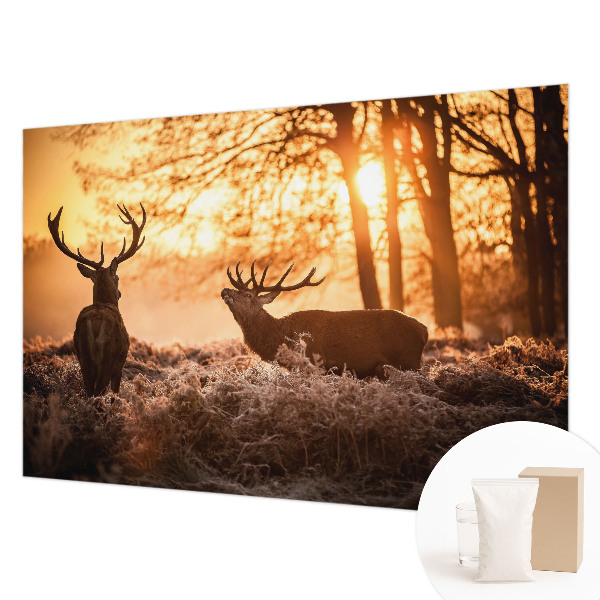 Muur behang Herten in de ochtend