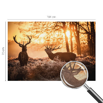 Muur behang Herten in de ochtend