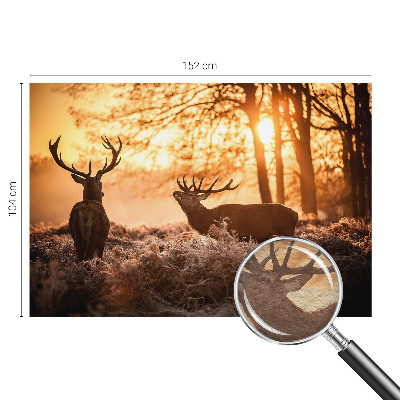 Muur behang Herten in de ochtend