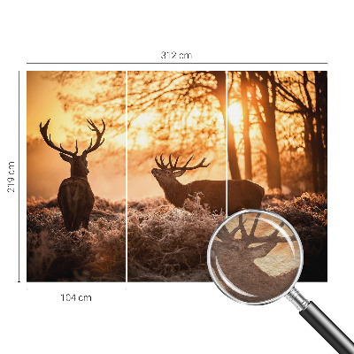 Muur behang Herten in de ochtend