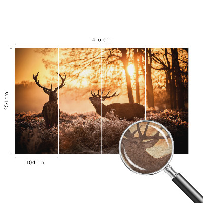 Muur behang Herten in de ochtend