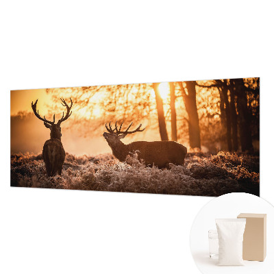 Muur behang Herten in de ochtend