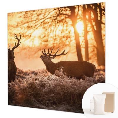 Muur behang Herten in de ochtend