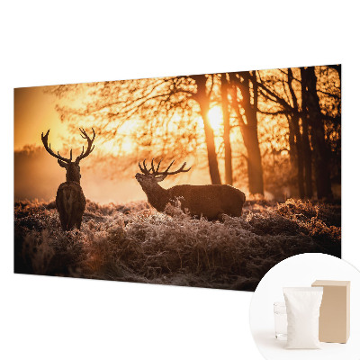 Muur behang Herten in de ochtend