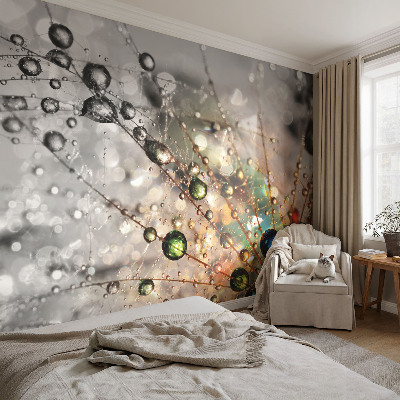 Fotobehang voor slaapkamer Ik dauw juwelen