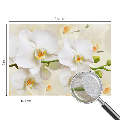 Fotobehang voor de slaapkamer met een bloemenpracht-ontwerp