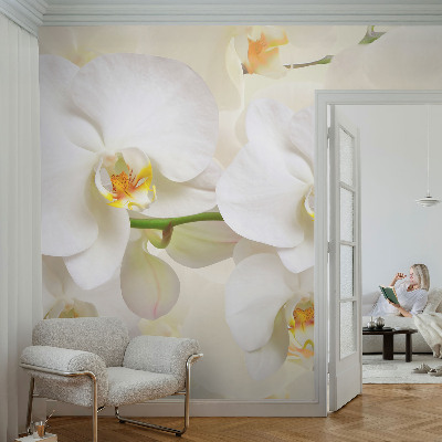 Fotobehang voor de slaapkamer met een bloemenpracht-ontwerp
