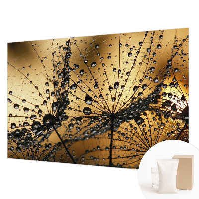 Fotobehang voor de woonkamer Fijne druppels