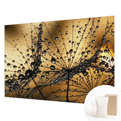 Fotobehang voor de woonkamer Fijne druppels