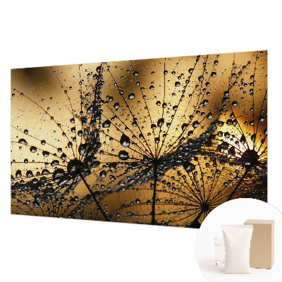 Fotobehang voor de woonkamer Fijne druppels