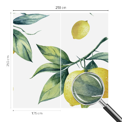 Hoogwaardig fotobehang Citroenmotief