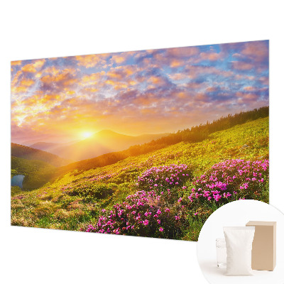 Kwalitatief fotobehang met een bergachtig westen thema