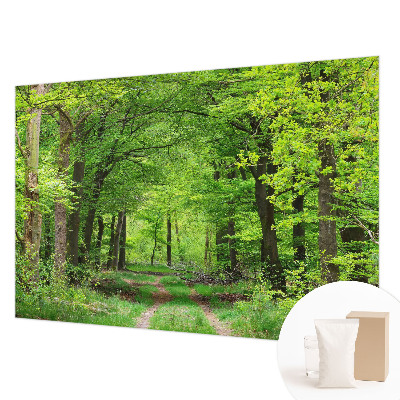 Sfeervol fotobehang Bospad