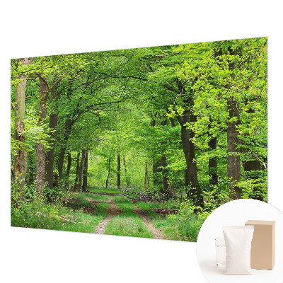 Sfeervol fotobehang Bospad