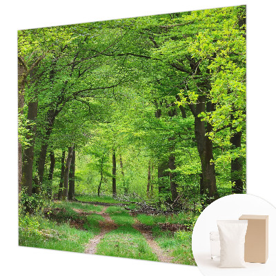 Sfeervol fotobehang Bospad