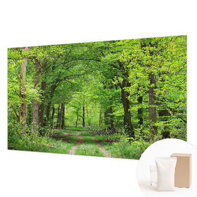 Sfeervol fotobehang Bospad