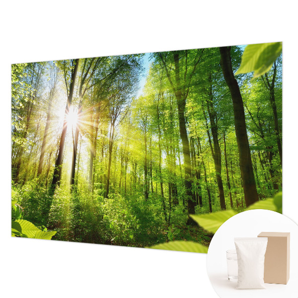 Uniek fotobehang Boslicht