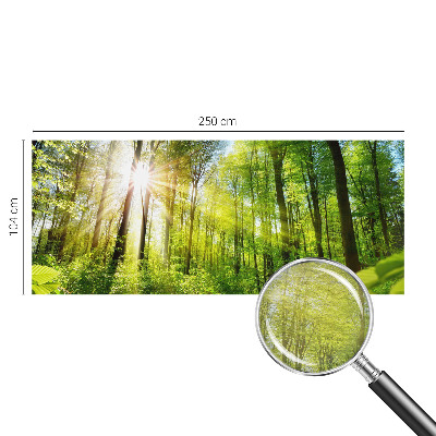 Uniek fotobehang met een boslicht-motief