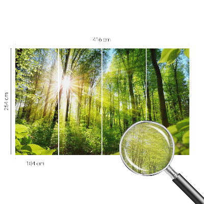 Uniek fotobehang met een boslicht-motief