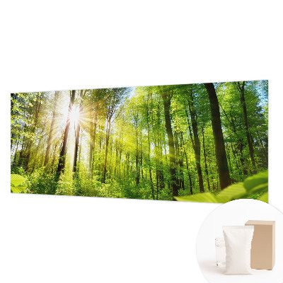 Uniek fotobehang met een boslicht-motief